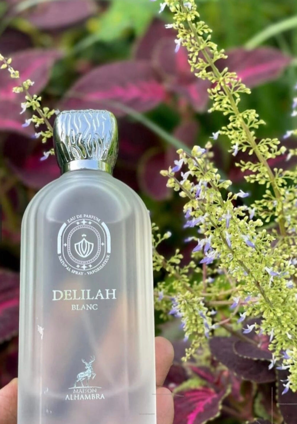 Delilah Blanc Maison Alhambra Mujer