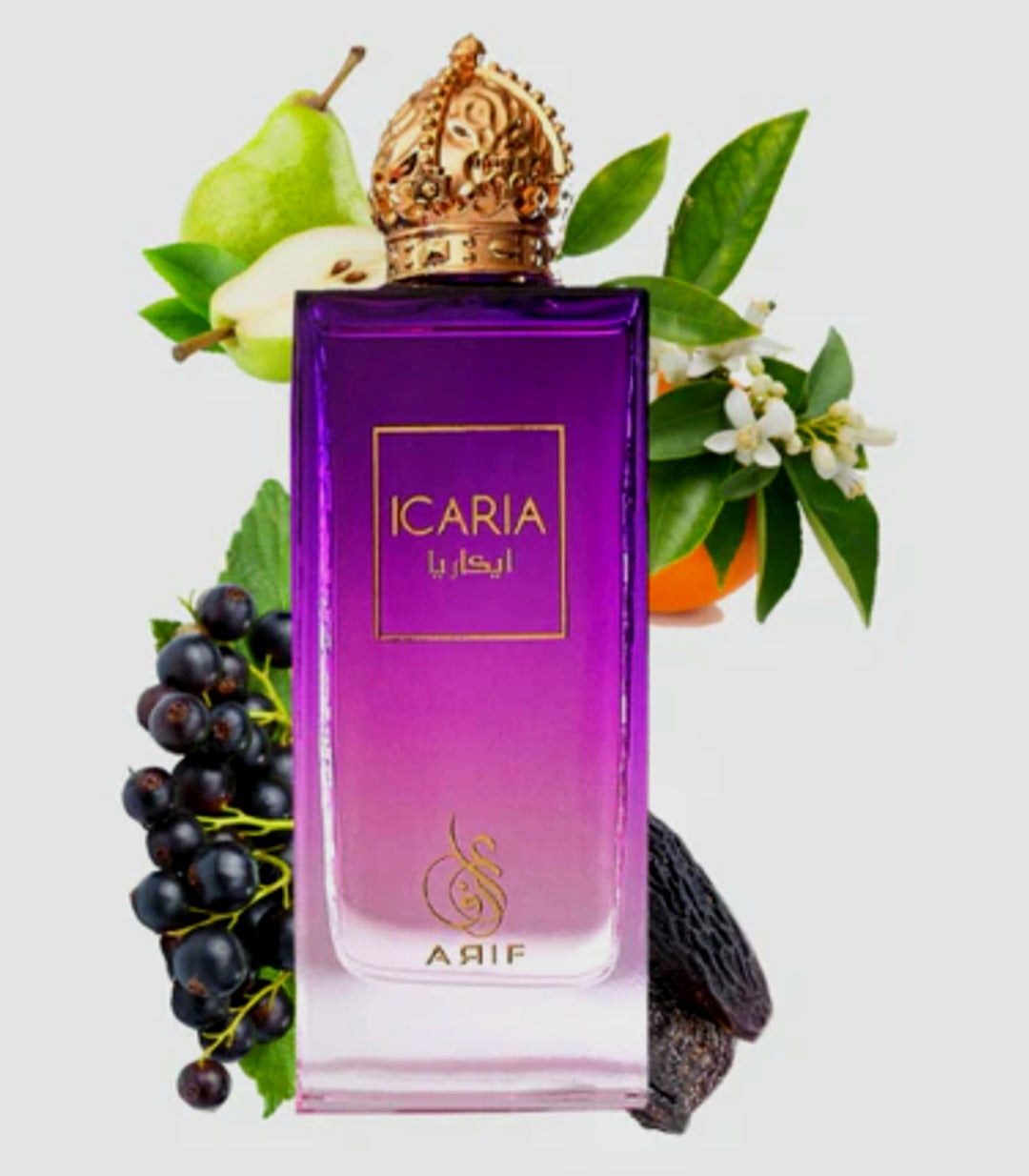ARIF Icaria 3.4 oz